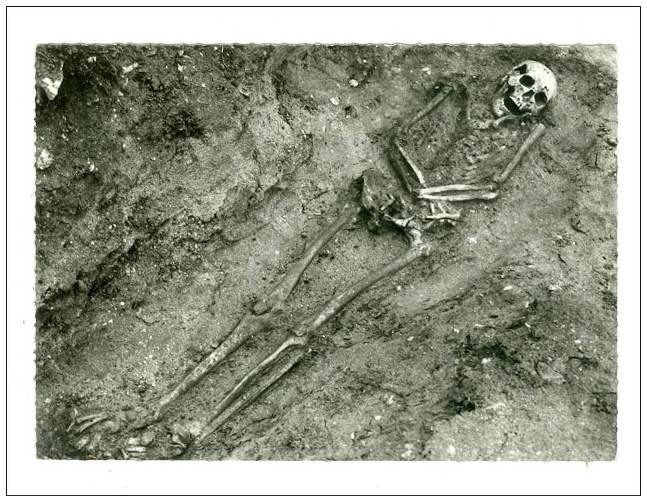 SERRIERES DE BRIORD Cimetiere Barbare Tombe En Pleine Terre - Unclassified