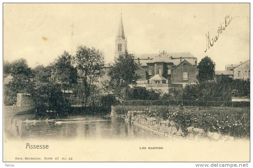 Assesse - Les Sources -1904 - Série Nels ( Voir Verso ) - Assesse