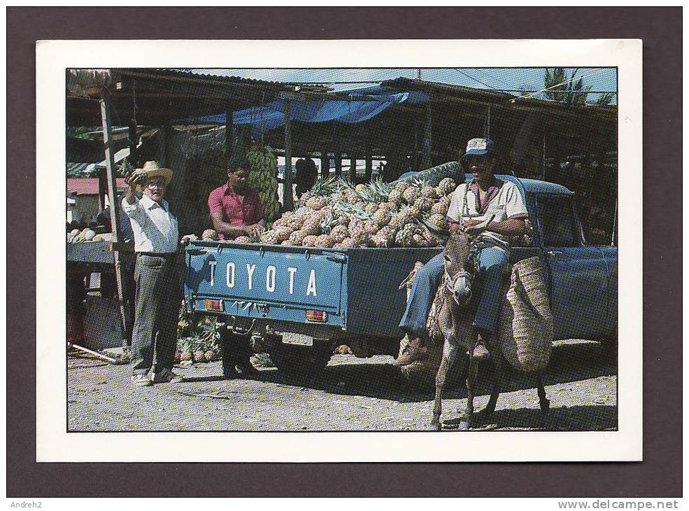 RÉPUBLIQUE DOMINICAINE - REPUBLICA DOMINICANA - VENDEDORA DE FRUTAS ERICH HAUSER MERCADO DE PUERTO PLATA BY MARTIN LOPEZ - Repubblica Dominicana