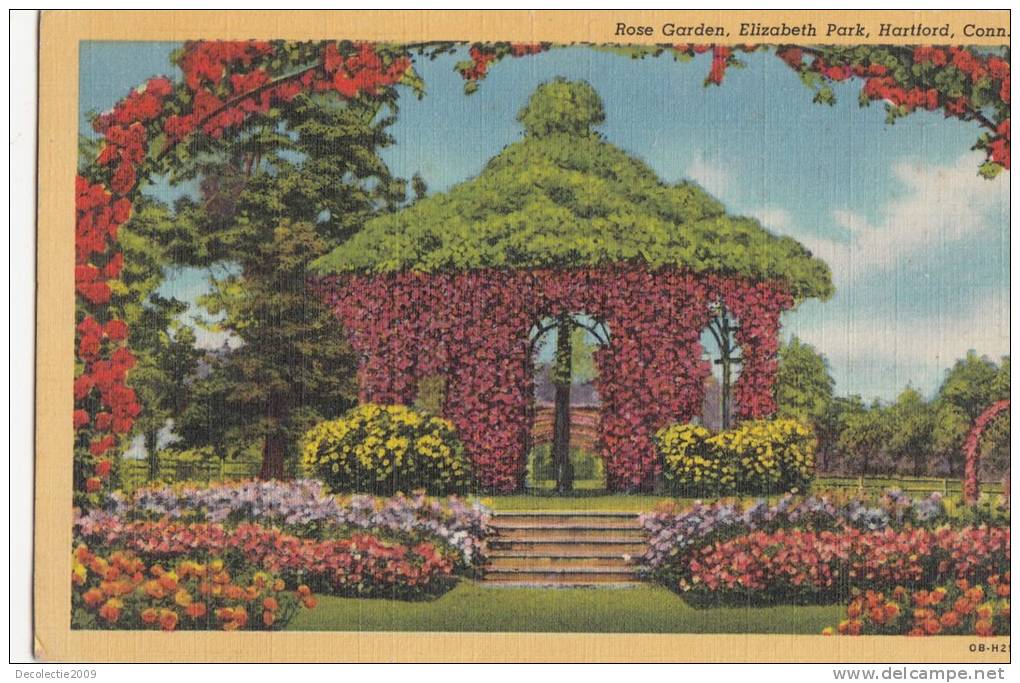 BR44257 Rose Garden Elizabeth Park Hartford    2  Scans - Hartford