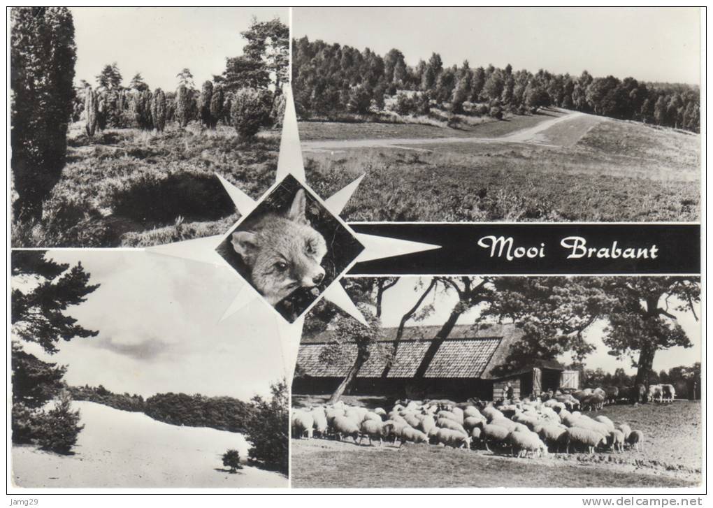 Nederland/Holland, Brabant, Mooi Brabant, Ca. 1970 - Sonstige & Ohne Zuordnung