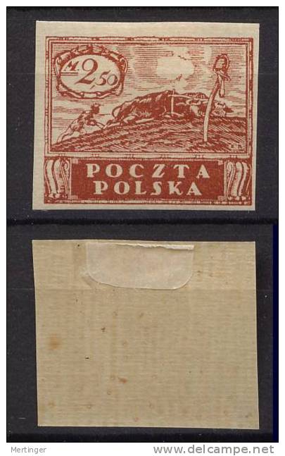 Polen Poland Mi# 99y * M€ 30,- Waagrecht Geripptes Papier - Unused Stamps