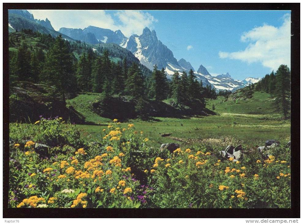 CPM Neuve  Tapis Floraux Dans La Vallée De La Clarée - Autres & Non Classés