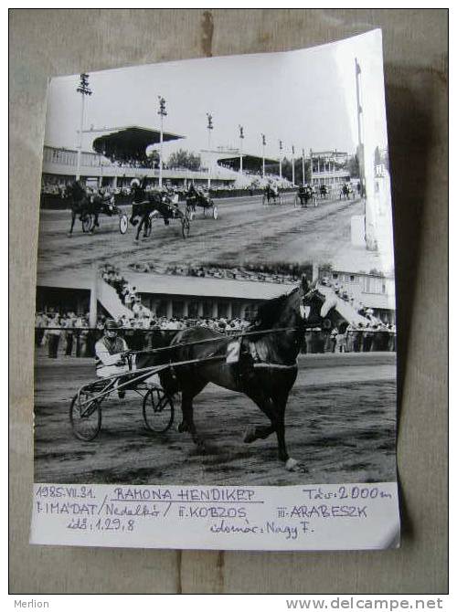 Hungary Hippodrome - Ügetö - Horse Racing   Race  Real Photo 1985 - Not A Postcard   X130.2 - Reitsport