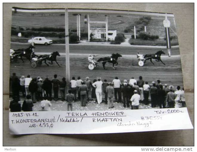 Hungary Hippodrome - Ügetö - Horse Racing   Race  Real Photo 1985 - Not A Postcard   X130.5 - Horse Show