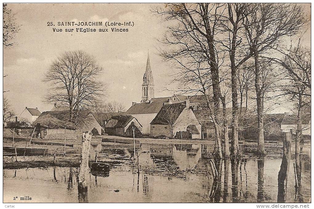 D44. SAINT- JOACHIM. VUE DE L'EGLISE AUX VINCES. - Saint-Joachim