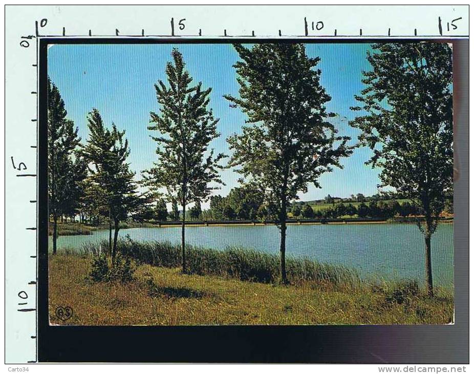 81  RABASTENS LE LAC - Rabastens