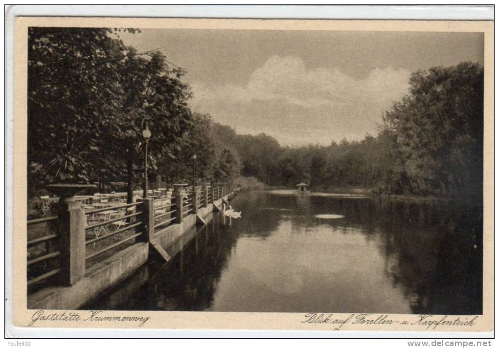 Ratingen - Lintorf - Gaststätte Krummenweg - Blick Auf Den Forellen Und Karpfenteich - Ratingen