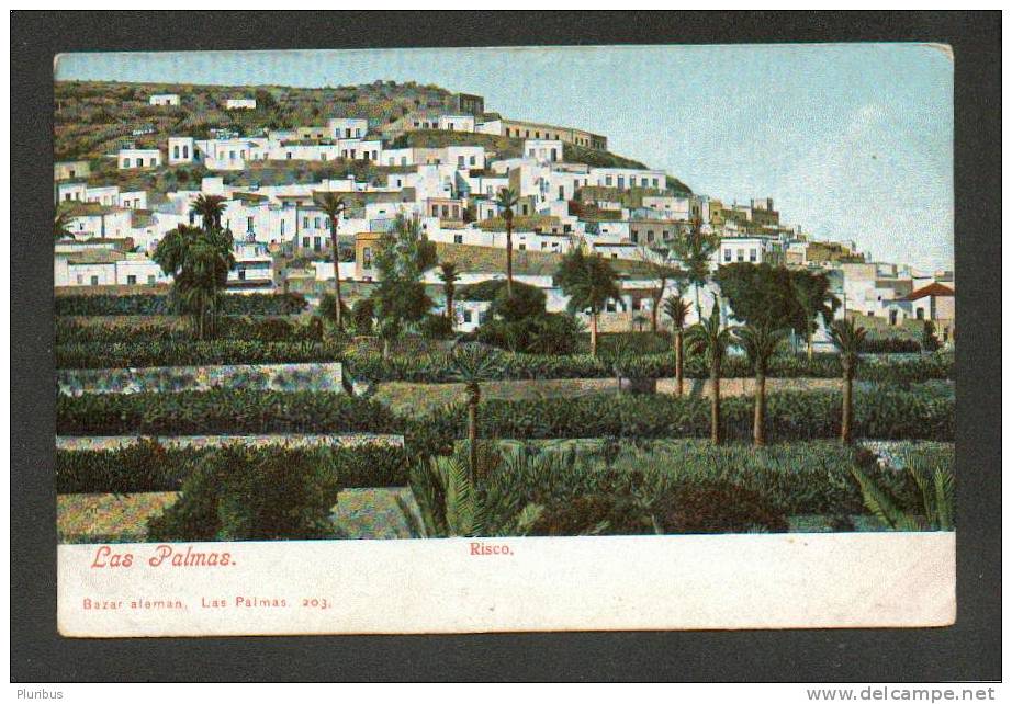 SPAIN  CANARIAS  LAS PALMAS  RISCO  , OLD POSTCARD - La Palma