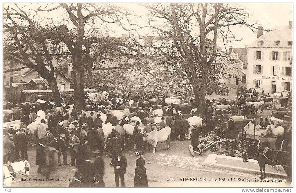 63 - ST GERVAIS D'AUVERGNE,  LE FOIRAIL (MARCHE AUX BOVINS) - Saint Gervais D'Auvergne