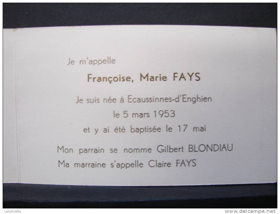 FPN. 1. Dessin De Monique Martin. Françoise Marie FAYS Née à Ecaussinnes D'Enghien Le 5 Mars 1953 - Naissance & Baptême