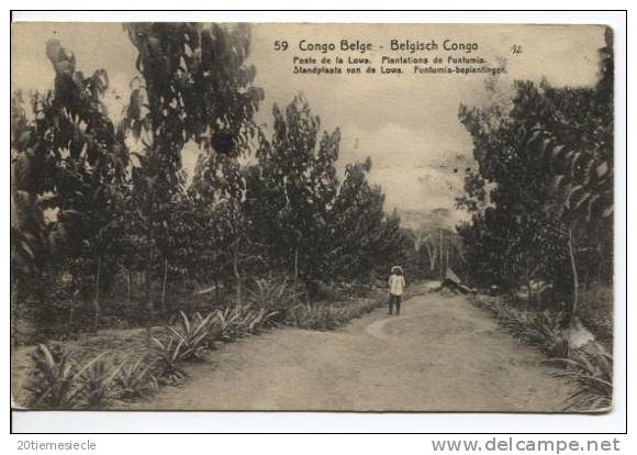 Belgisch Congo Belge CP Vue 59 Entier 10 C C.Boma 1919  AP302 - Entiers Postaux