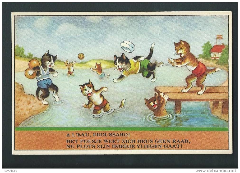 Chats En Maillot De Bain. " A L'eau, Froussards!" - Katten