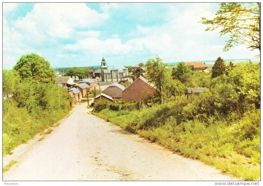 BOURSEIGNE-VIEILLE - Panorama - Superbe Carte Colorée - Gedinne