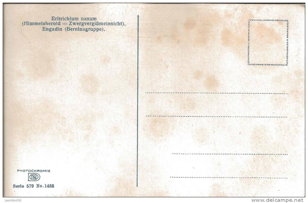 Eritrichium Nanum, Himmelsherold=Zwergvergissmeinnicht, Engadin Berninagruppe: Serie 579 N° 1483 - Autres & Non Classés