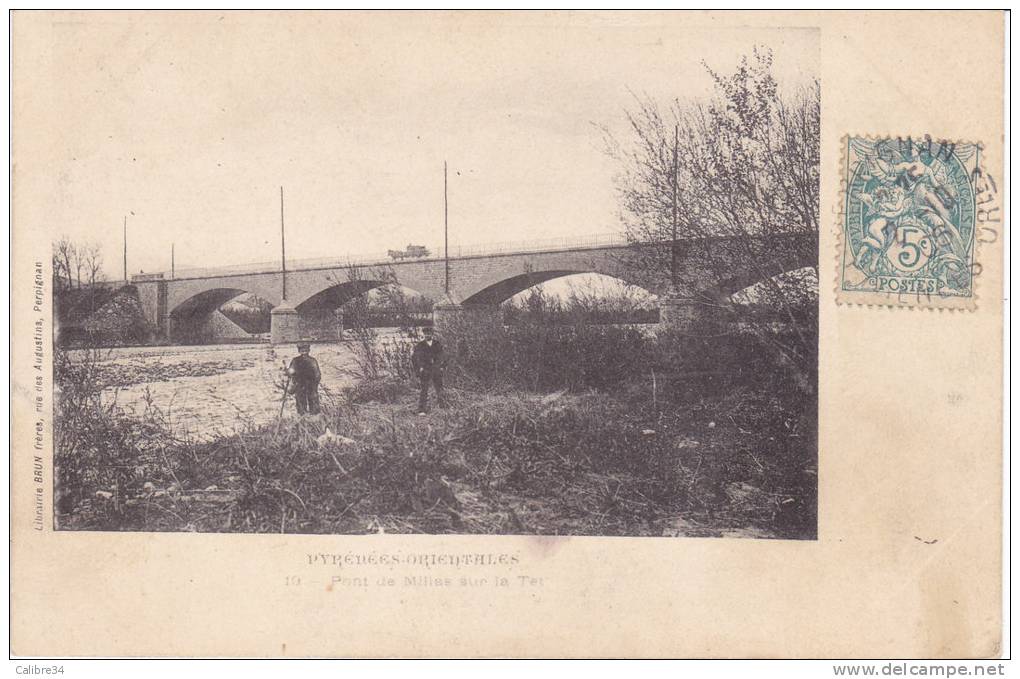 66 Pont De MILLAS Sur La Têt (1906) - Millas