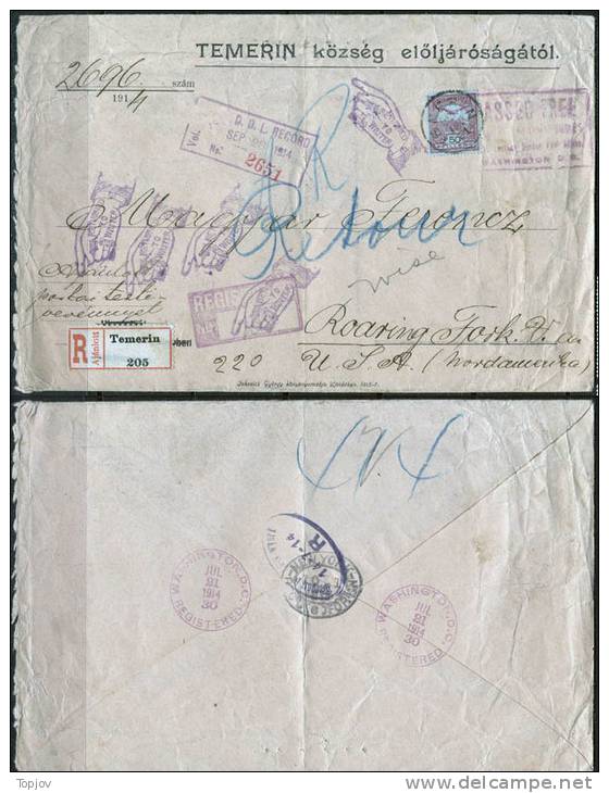 HUNGARY  - VOJVODINA - TEMERIN  To WASHINGTON To RETURN Seepost Bremen Newyork - RECOM - Mi. 121 ?  -14.7.1914 - Covers & Documents