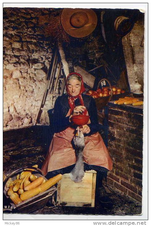 Métiers Traditionnels--Périgord-- La Gaveuse D´oie (mais,pomme),cpsm 10 X 15 N° 24/140  éd Théojac - Landbouwers