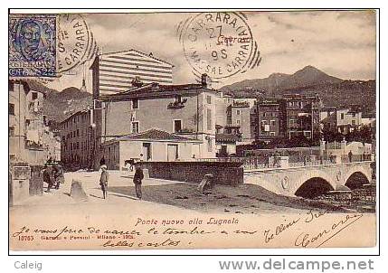 CARRARA Ponte Nuovo Alla Lugnola Usata 25cent. Floreale  Per Argentina RRR 27.11.1901 - Carrara