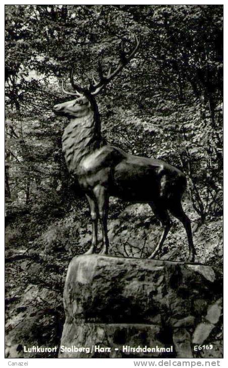 AK Stolberg, Hirschdenkmal, Ung, 1959 - Stolberg (Harz)