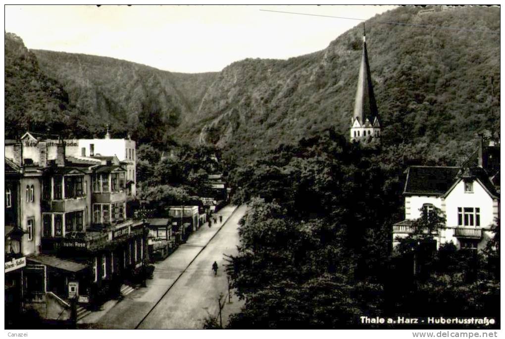 AK Thale, Hubertusstraße, Gel, 1958 - Thale