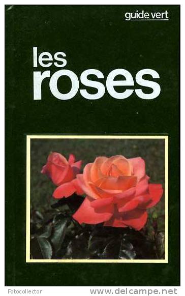 Les Roses Par Stelvio Coggiatti - Garden