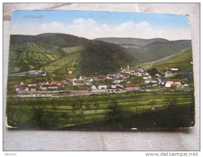 Oppenau Im Schwarzwald   Ca 1910  D89495 - Oppenau