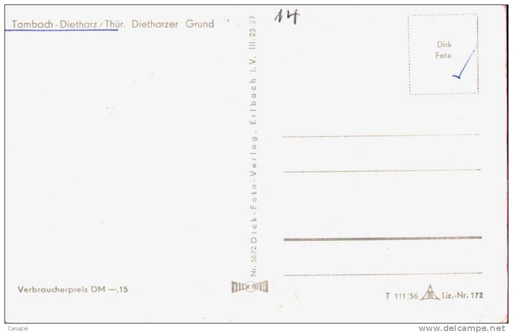 AK Tambach-Dietharz, Dietharzer Grund, Ung, 1956 - Tambach-Dietharz