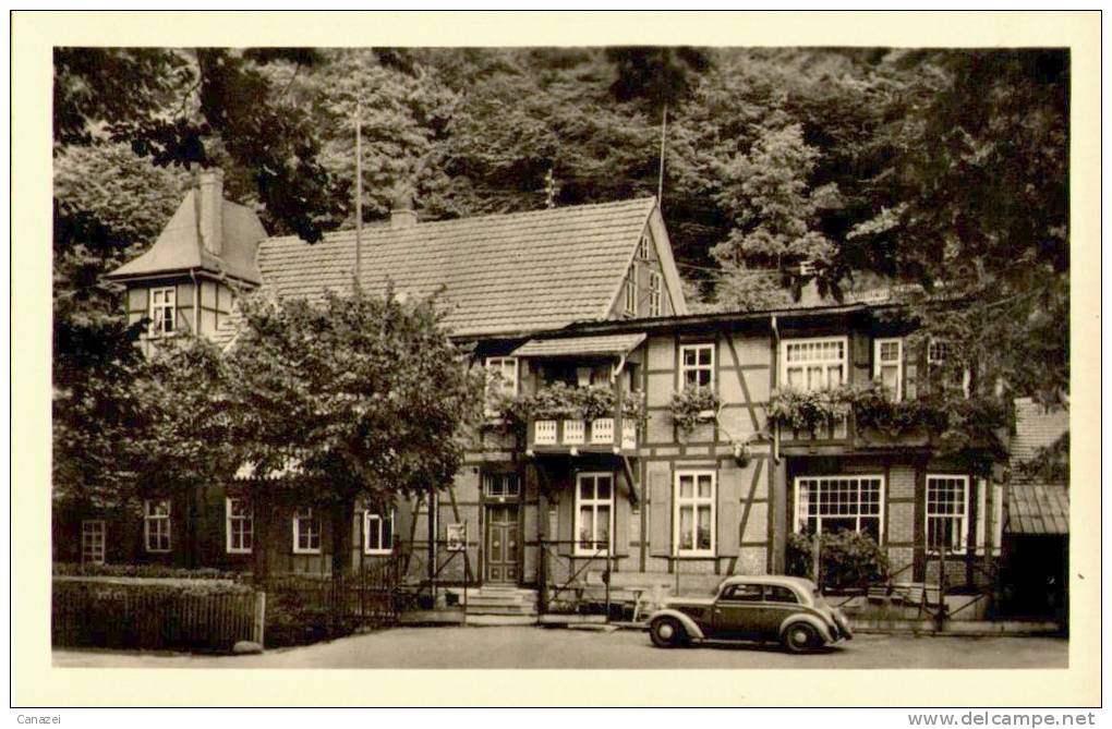 AK Trusetal/Kr. Schmalkalden, Gasthaus Trusetaler Wasserfall, Ung, 1954 - Schmalkalden