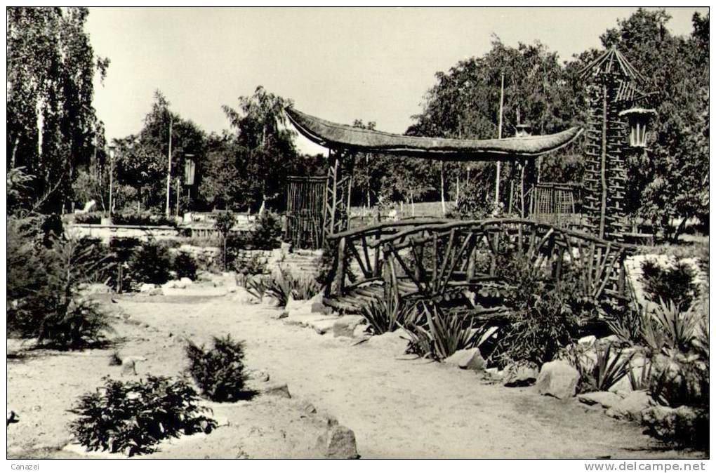 AK Woltersdorf Bei Erkner/Kr. Fürstenwalde, Erich-Weinert-Platz, Ung, 1964 - Fuerstenwalde