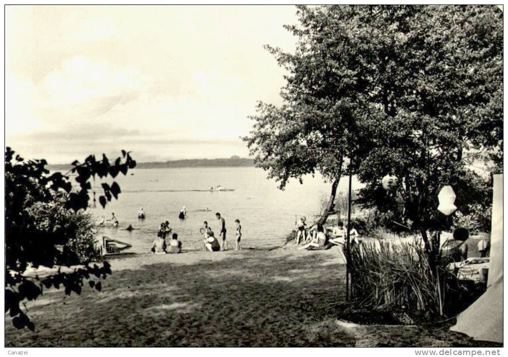 AK Zaue/Kr. Lübben, Am Schwielochsee, Gel, 1965 - Lübben (Spreewald)