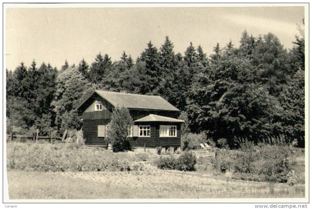 AK Foto Zechlin, Beschr, 1961 - Zechlin