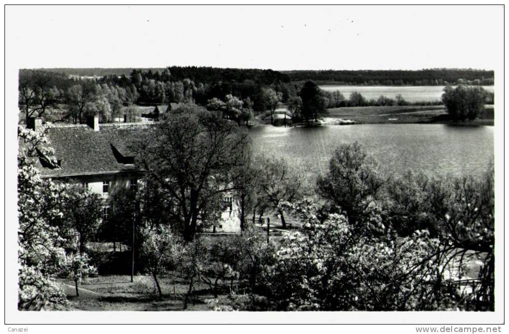 AK Flecken Zechlin, Gel, Verm 1960 - Zechlin