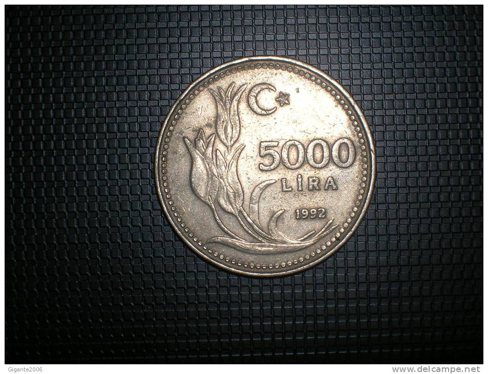 Turquia 5000 Lira 1992 (4815) - Turquie