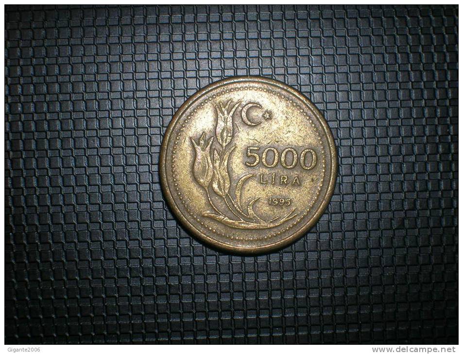 Turquia 5000 Lira 1995 (4820) - Turquie