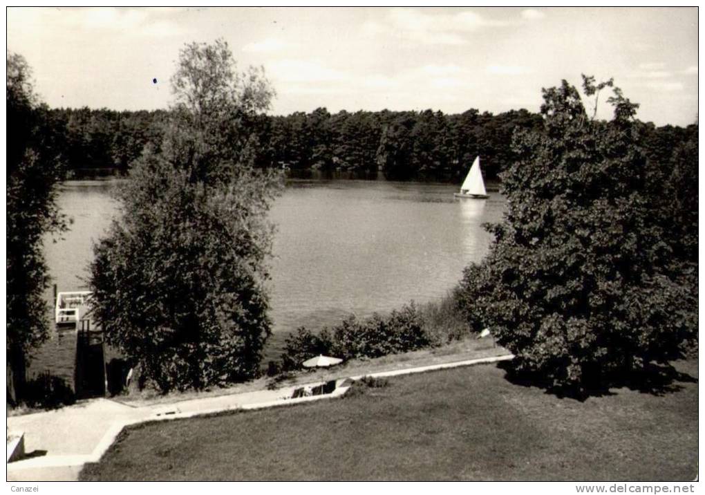 AK Ziegenhals, Onkologisches Zentralinstitut, Gel, 1965 - Königs-Wusterhausen