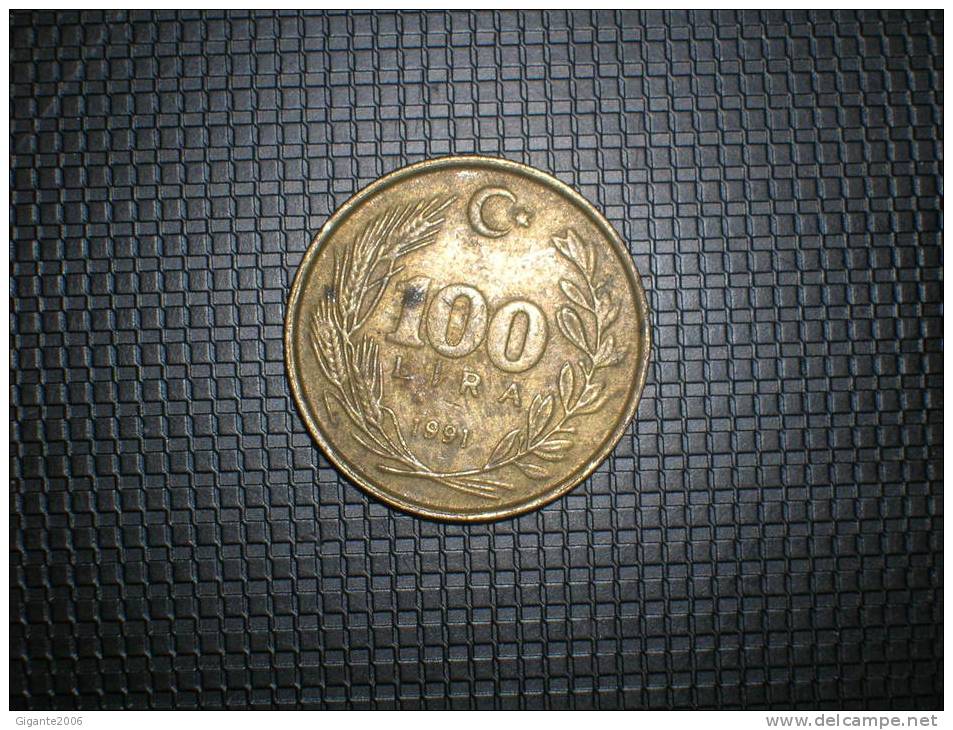 Turquia 100 Lira 1991 (4824) - Turquia