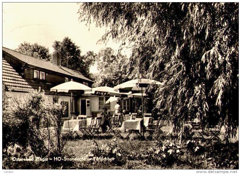 AK Zingst, HO-Strandcafé Und Milchbar, Gel, 1963 - Zingst