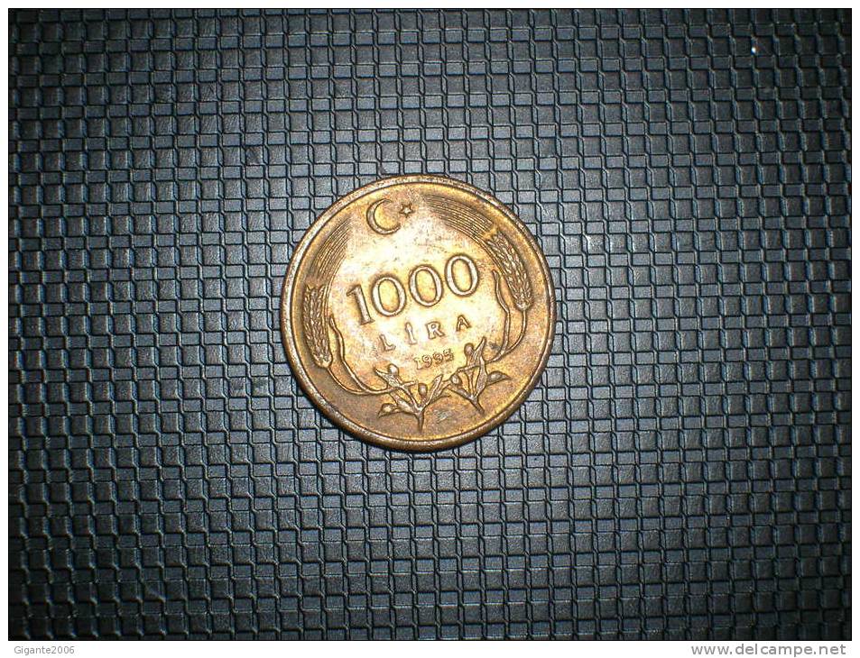 Turquia 1000  Lira 1995 (4833) - Turkey