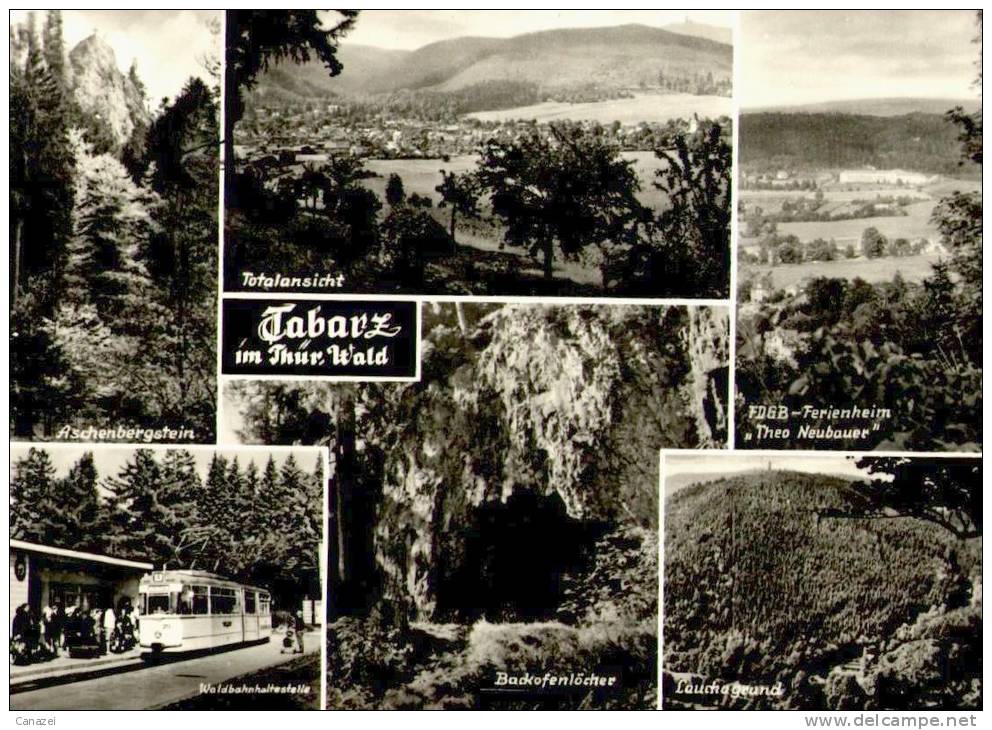 AK Tabarz: Waldbahn-Haltestelle, Lauchagrund, Aschenbergstein, Gel, 1972 - Tabarz