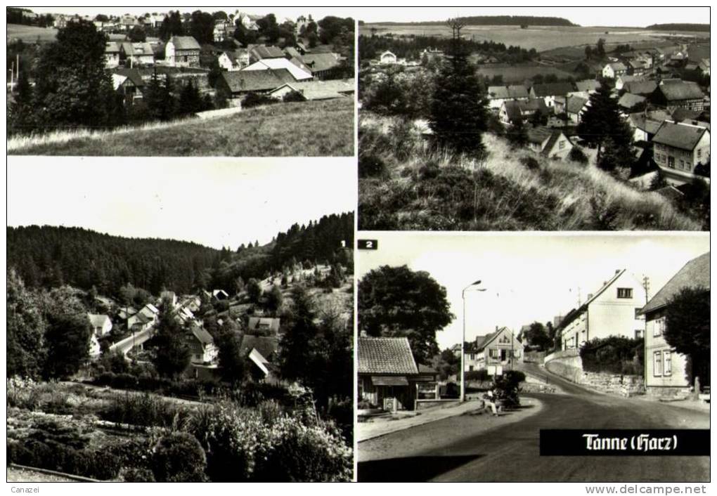 AK Tanne (Harz), Bodetalstraße, Blick Vom Alpinum, Gel, 1981 - Thale