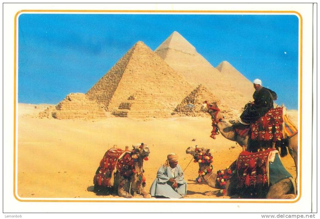 Egypt, Giza, The Pyramids, Unused Postcard [13310] - Gizeh