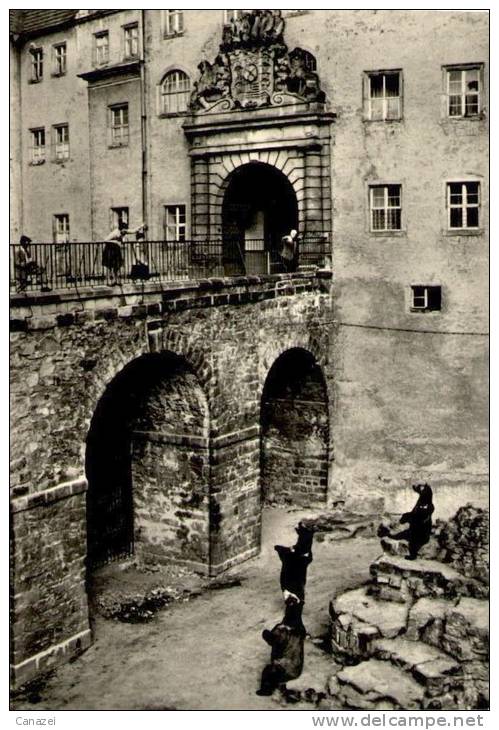 AK Torgau, Bärenfreigehege Im Schloß Hartenfels, Beschr, 1968 - Torgau