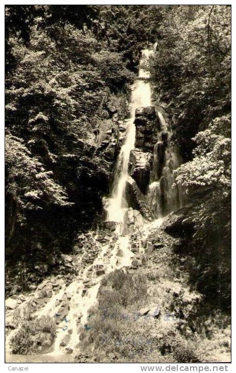 AK Trusetal, Trusetaler Wasserfall, Ung, 1958 - Bad Liebenstein