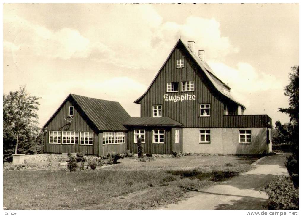 AK Waldidylle/Erzgebirge, Zugspitze, Gel, 1968 - Altenberg