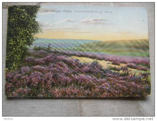 Lüneburger Heide - Heidelandschaft Bei Der Günne  PU 1909    D89505 - Lüneburger Heide