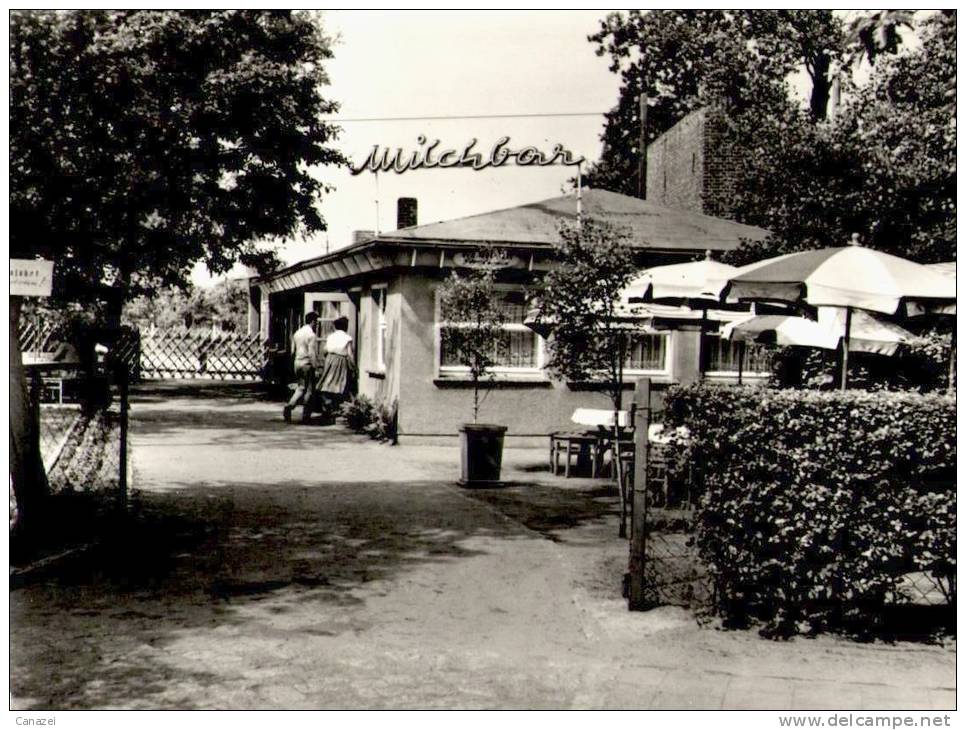 AK Zingst, Milchbar, Gel, 1968 - Zingst