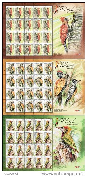 2013 SHEETLET Woodpecker Bird Stamp Malaysia MNH - Malaysia (1964-...)