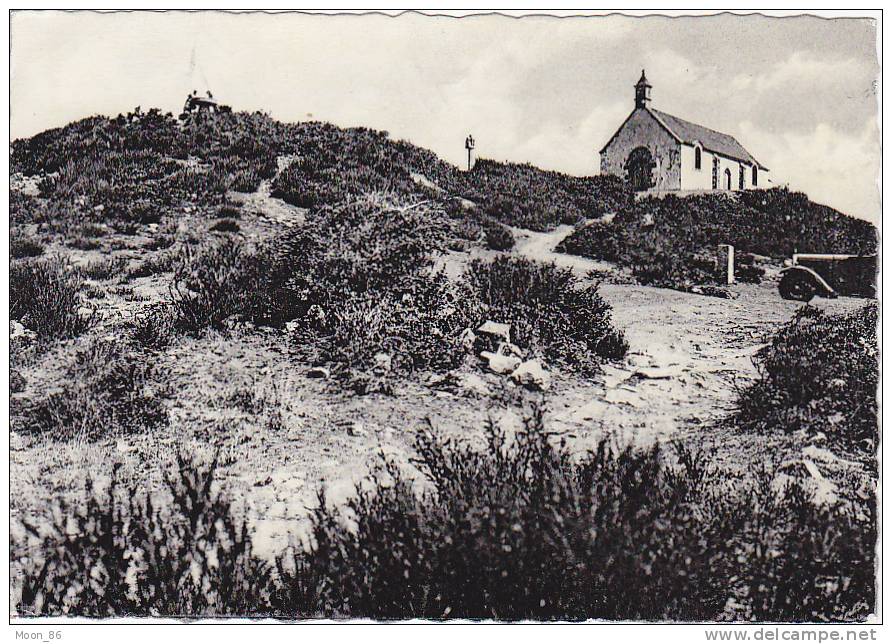 56 CARNAC - Tumulus De Saint Michel - Carnac