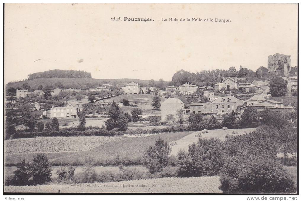 CPA - (85) Pouzauges - Le Bois De La Folie Et Le Donjon - Pouzauges